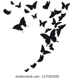 black butterfly, isolated on a white
