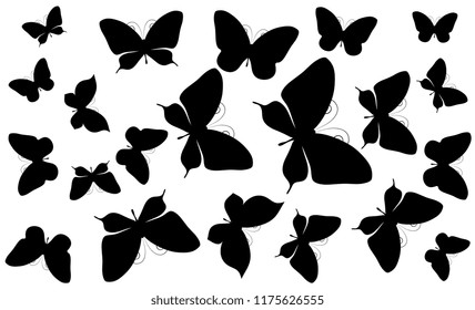 black butterfly, isolated on a white
