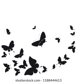 black butterfly, isolated on a white