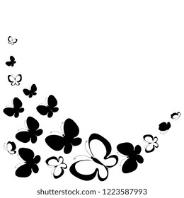 black butterfly, isolated on a white