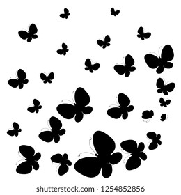 black butterfly, isolated on a white
