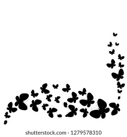 black butterfly, isolated on a white