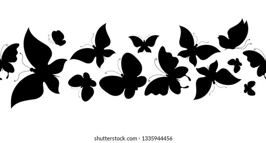 black butterfly, isolated on a white