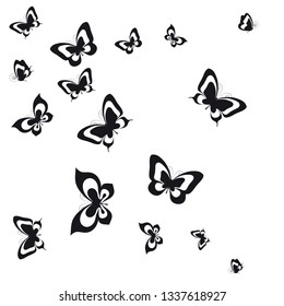 black butterfly, isolated on a white