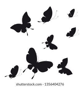 black butterfly, isolated on a white