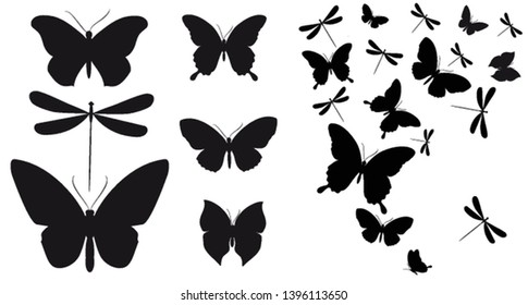 black butterfly, isolated on a white
