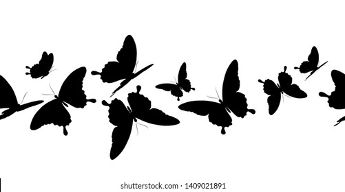 black butterfly, isolated on a white