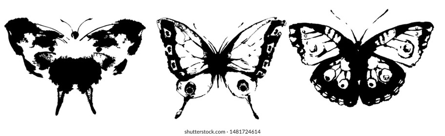 black butterfly, isolated on a white