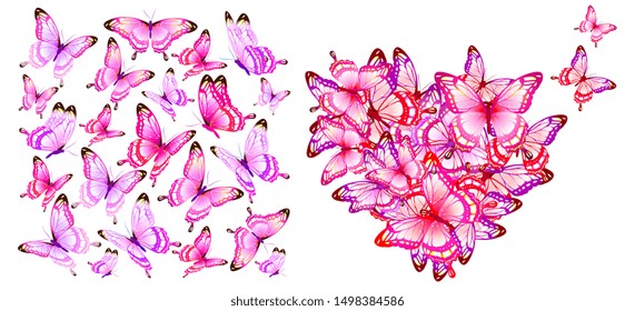 black butterfly, isolated on a white