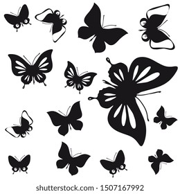 black butterfly, isolated on a white