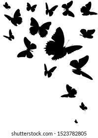 Black Butterfly Isolated On White Stock Vector (Royalty Free ...