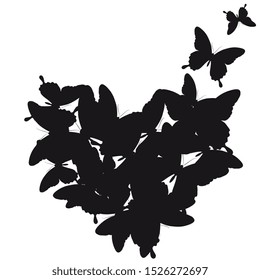 black butterfly, isolated on a white