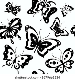 black butterfly, isolated on a white