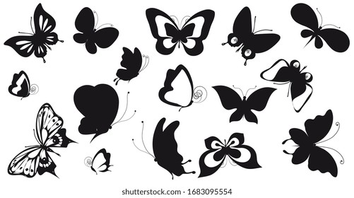 black butterfly, isolated on a white