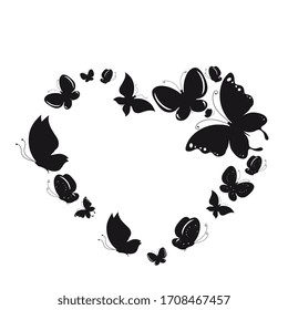black butterfly, isolated on a white