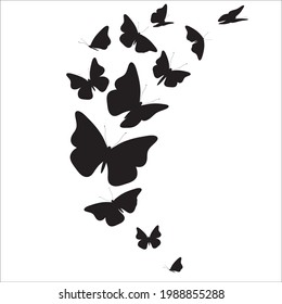 schwarzer Schmetterling einzeln auf Weiß