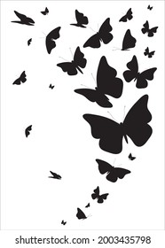 schwarzer Schmetterling einzeln auf Weiß