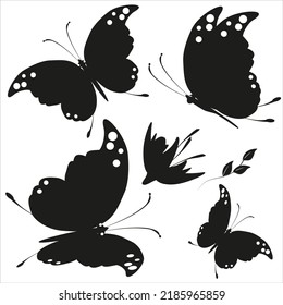 black butterfly, isolated on a white