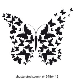 black butterfly, isolated on a white