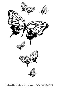 black butterfly, isolated on a white