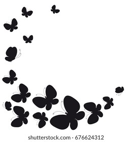 black butterfly, isolated on a white 