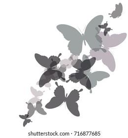 Black Butterfly Isolated On White Stock Vector (Royalty Free) 716877685 ...