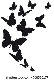 black butterfly, isolated on a white