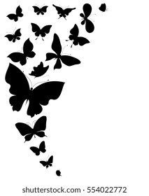 black butterfly, on a white