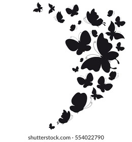 black butterfly, on a white