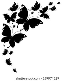 black butterfly, on a white