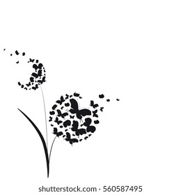 black butterfly, on a white