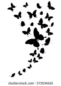 black butterfly, on a white