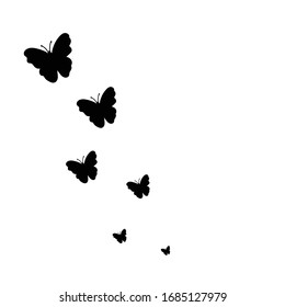 Black Butterfly On White Background