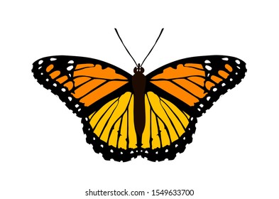 Black butterfly with orange, yellow, white spots. Isolated object