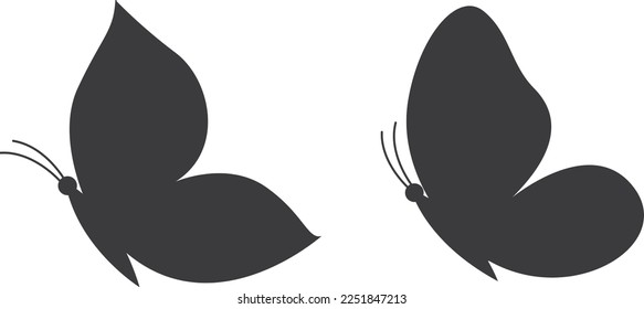 black butterfly shadow vector image