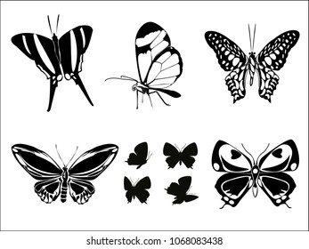 Black butterfly shape set on white background. Hovering flying insect collection creative silhouette. Cute vector butterfly element set for tattoo, engraving, prints, textures, interior and design.