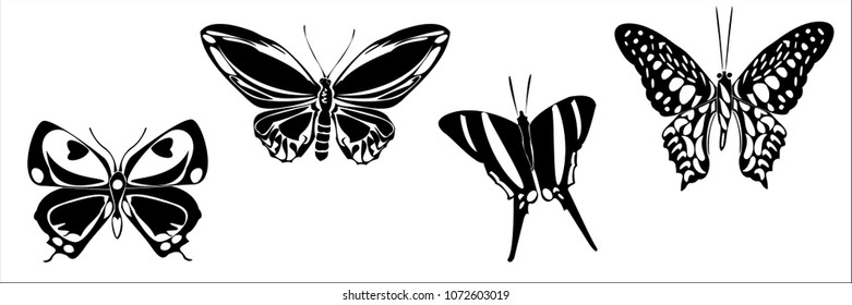 Black butterfly shape set on white background. Hovering flying insect collection creative silhouette. Cute vector butterfly element set for tattoo, engraving, prints, textures, interior and design.