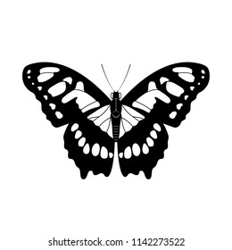 Black butterfly silhouette, beautiful butterfly, tropical insect, wildlife. Flat design. Vector illustration. EPS10