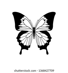 Black butterfly silhouette isolated on white background, beautiful butterfly, tropical insect, wildlife. Flat design. Vector illustration. EPS10