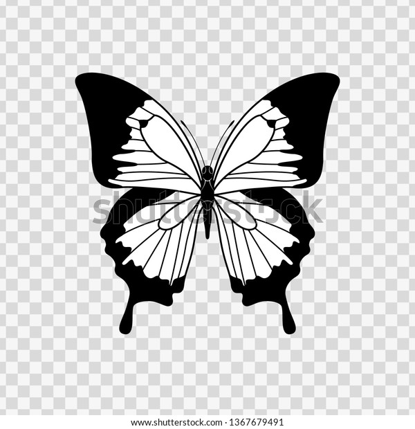 Black Butterfly Silhouette Isolated On Transparent Stock