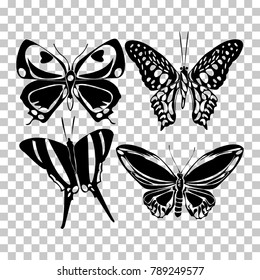 Black butterfly silhouette set on transparent background. Flying insect collection creative shape. Cute vector butterfly element set for tattoo, engraving, prints, textures, wallpapers and design.