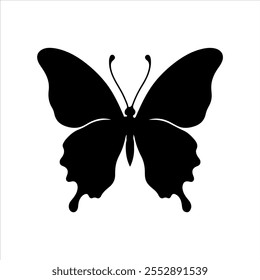 Black  butterfly silhouette vector illustration on white background