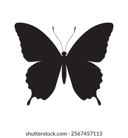 black butterfly silhouette vector on white background