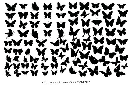 Black butterfly silhouettes. Outline butterflies romantic tattoo, tropical insects stencil. Summer and spring exotic symbols isolated vector set. Elegant wild flying moth of various shapes