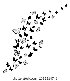 Black butterfly silhouettes. Vector design element 