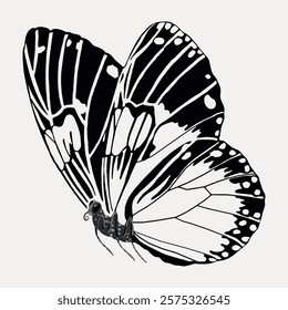 Black butterfly sticker, vintage insect. Remixed from the artwork of E.A. Séguy, butterfly vector art by E. A. Seguy. Vintage butterfly insect animal art drawing illustration, old painting art print.