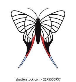 Vista superior de la mariposa negra aislada en un fondo blanco. Ilustración de vectores de arte plano