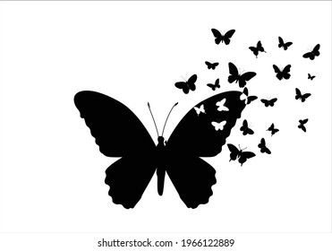 black butterfly vector art design