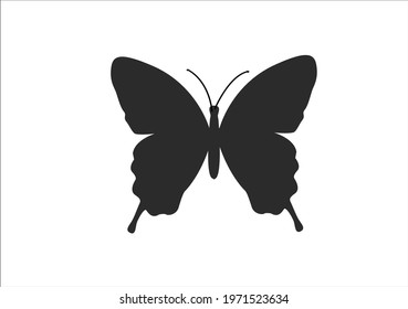 black butterfly vector design art stencil