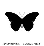 Black butterfly vector icon, isolated on white